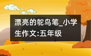 漂亮的鴕鳥筆_小學(xué)生作文:五年級