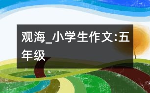 觀海_小學(xué)生作文:五年級