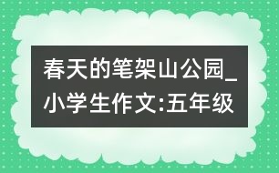 春天的筆架山公園_小學生作文:五年級