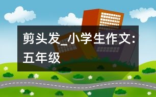 剪頭發(fā)_小學(xué)生作文:五年級