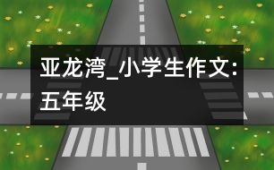 亞龍灣_小學(xué)生作文:五年級(jí)