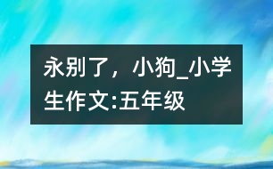 永別了，小狗_小學生作文:五年級