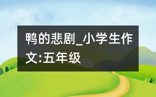 鴨的悲劇_小學(xué)生作文:五年級