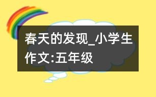 春天的發(fā)現(xiàn)_小學(xué)生作文:五年級(jí)