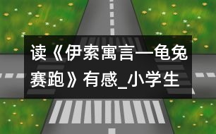 讀《伊索寓言―龜兔賽跑》有感_小學(xué)生作文:五年級(jí)