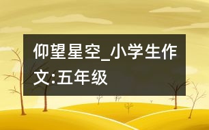 仰望星空_小學(xué)生作文:五年級