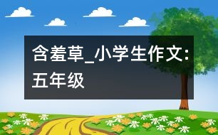 含羞草_小學(xué)生作文:五年級