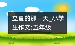 立夏的那一天_小學(xué)生作文:五年級