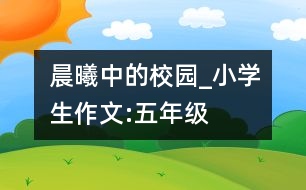 晨曦中的校園_小學(xué)生作文:五年級(jí)