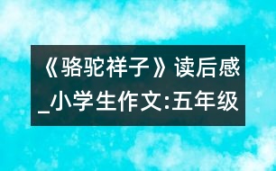 《駱駝祥子》讀后感_小學(xué)生作文:五年級