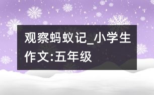 觀(guān)察螞蟻記_小學(xué)生作文:五年級(jí)