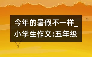 今年的暑假不一樣_小學(xué)生作文:五年級