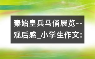 秦始皇兵馬俑展覽--觀后感_小學(xué)生作文:五年級