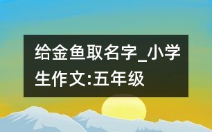 給金魚(yú)取名字_小學(xué)生作文:五年級(jí)