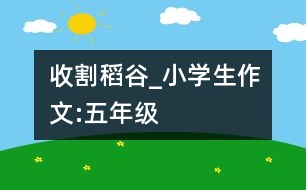 收割稻谷_小學(xué)生作文:五年級(jí)