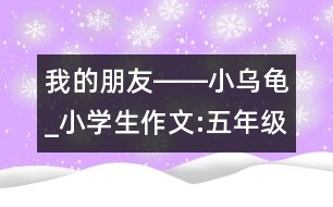 我的朋友――小烏龜_小學(xué)生作文:五年級