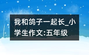 我和鴿子一起長(zhǎng)_小學(xué)生作文:五年級(jí)