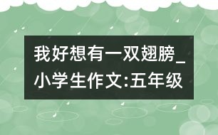 我好想有一雙翅膀_小學(xué)生作文:五年級