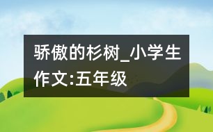 驕傲的杉樹_小學生作文:五年級