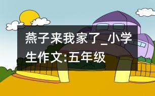 燕子來我家了_小學(xué)生作文:五年級(jí)