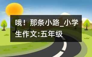 哦！那條小路_小學(xué)生作文:五年級(jí)