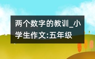 兩個數(shù)字的教訓_小學生作文:五年級