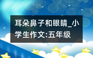 耳朵、鼻子和眼睛_小學(xué)生作文:五年級