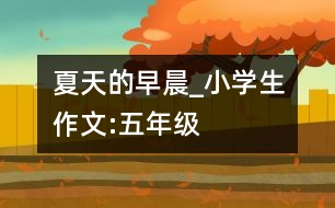 夏天的早晨_小學(xué)生作文:五年級