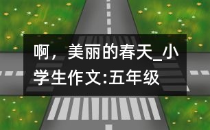 啊，美麗的春天_小學(xué)生作文:五年級