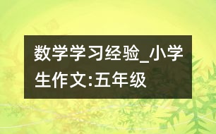 數(shù)學學習經(jīng)驗_小學生作文:五年級