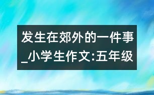 發(fā)生在郊外的一件事_小學(xué)生作文:五年級