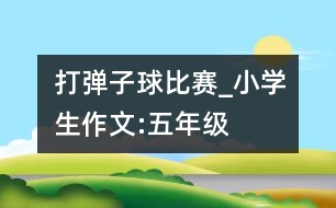 打彈子球比賽_小學生作文:五年級