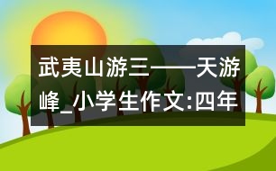 武夷山游（三）――天游峰_小學(xué)生作文:四年級(jí)