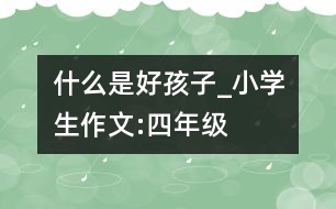 什么是好孩子_小學生作文:四年級