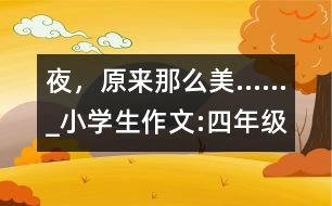 夜，原來那么美……_小學(xué)生作文:四年級