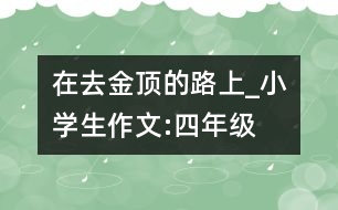 在去“金頂”的路上_小學(xué)生作文:四年級(jí)