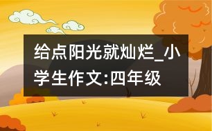 給點陽光就燦爛_小學(xué)生作文:四年級