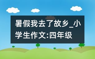 暑假我去了故鄉(xiāng)_小學(xué)生作文:四年級