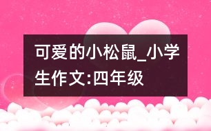 可愛的小松鼠_小學生作文:四年級