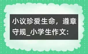 小議“珍愛生命，遵章守規(guī)”_小學生作文:四年級