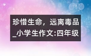 珍惜生命，遠(yuǎn)離毒品_小學(xué)生作文:四年級(jí)