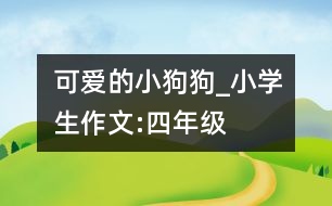 可愛的小狗狗_小學生作文:四年級