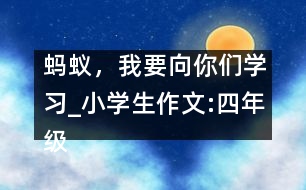 螞蟻，我要向你們學習_小學生作文:四年級