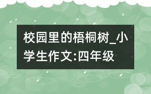 校園里的梧桐樹_小學(xué)生作文:四年級