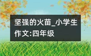 堅強的火苗_小學(xué)生作文:四年級