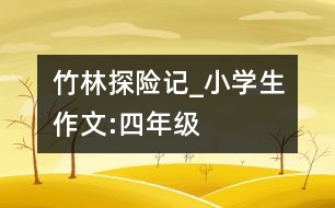 竹林“探險(xiǎn)”記_小學(xué)生作文:四年級(jí)