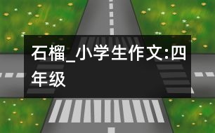 石榴_小學(xué)生作文:四年級