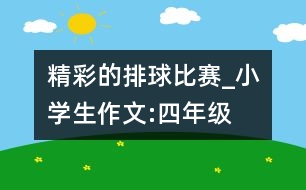 精彩的排球比賽_小學(xué)生作文:四年級(jí)