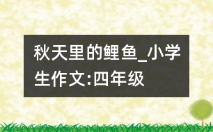 秋天里的鯉魚_小學(xué)生作文:四年級(jí)