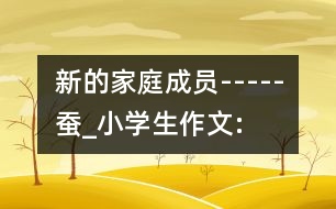 新的家庭成員-----“蠶”_小學(xué)生作文:四年級(jí)